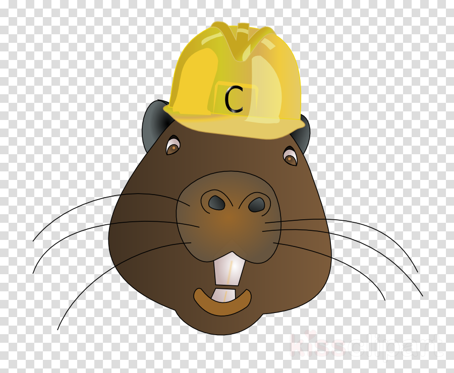 900x740 cartoon, drawing, illustration, transparent png image clipart - Beaver Cartoon Drawing