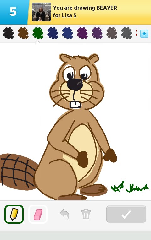 480x764 beaver drawings - Beaver Drawing