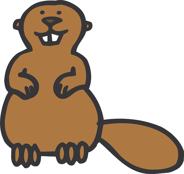 640x604 collection of free beaver drawing animated download on ui ex - Beaver Drawing
