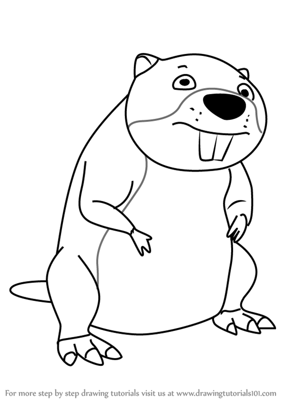 566x800 learn how to draw chompy the beaver from paw patrol - Beaver Drawing