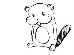 259x195 simple beaver drawing - Beaver Drawing