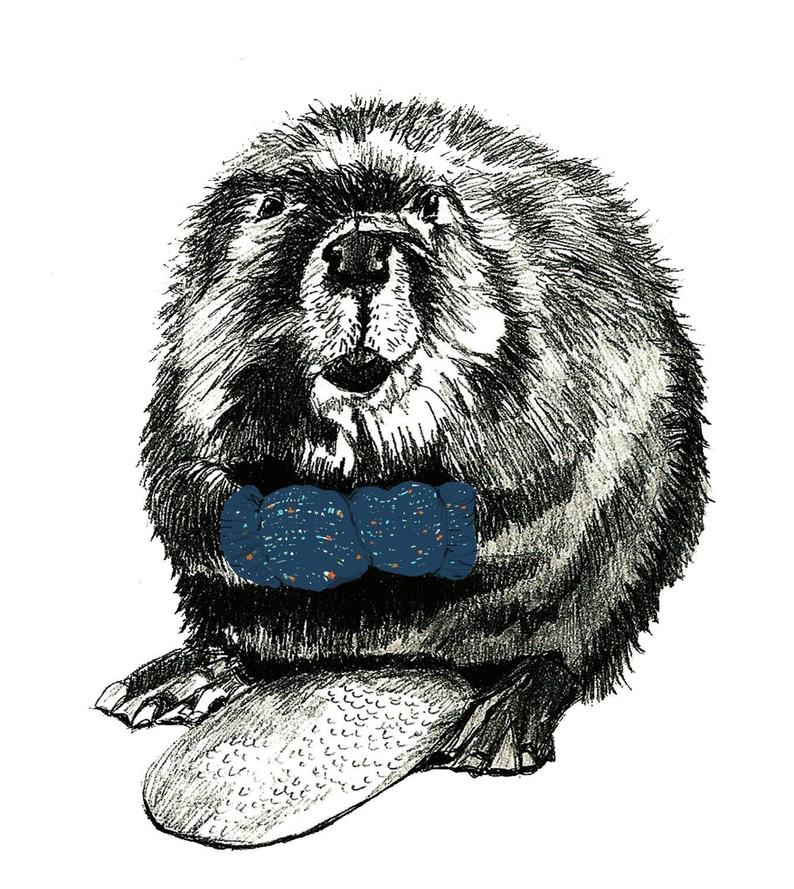 794x889 beaver drawing beavers love blue mittens illustration etsy - Beaver Drawing