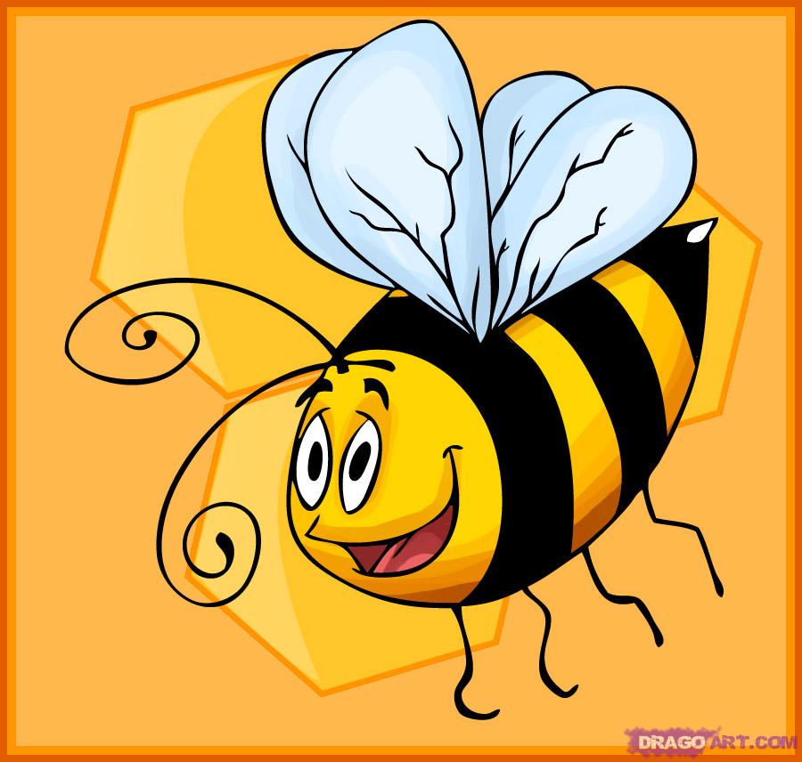 900x856 How To Draw A Cartoon Bumble Bee, Step - Bee Cartoon Drawing