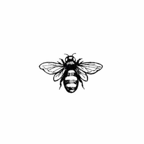 500x500 Drawing Of A Cute Little Bee On We Heart It - Bee Drawing