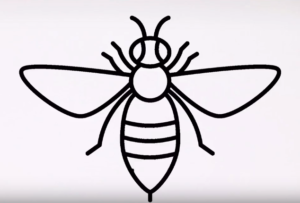 300x203 How To Draw A Bee Easy Step - Bee Drawing