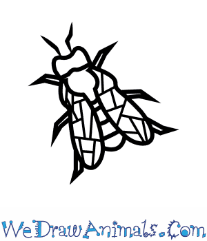 300x350 how to draw a carpenter bee - Bee Drawing Easy