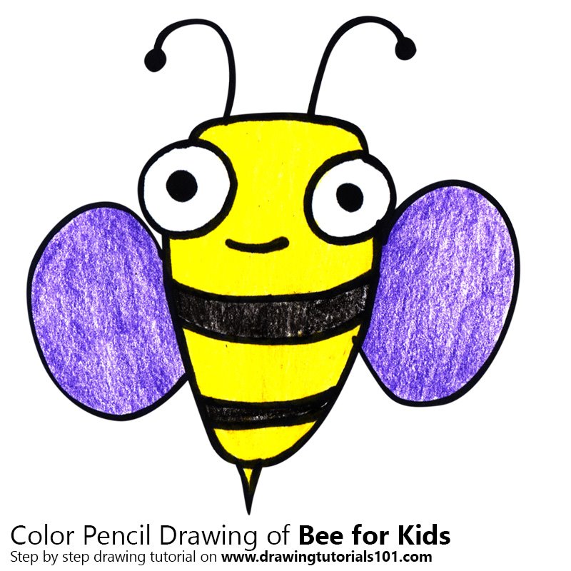 800x800 Learn How To Draw A Bee For Kids - Bee Drawing Easy
