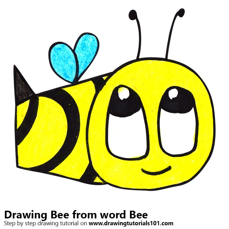 800x800 learn how to draw a bee from word bee - Bee Drawing Easy