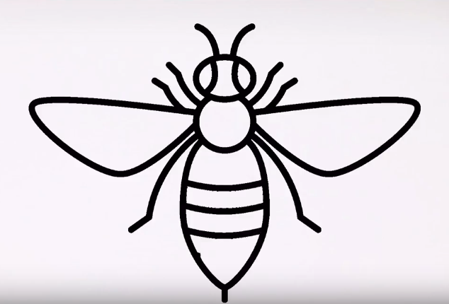 634x430 Drawing Drawings, Easy Animal Drawings, Drawing - Bee Drawing Easy