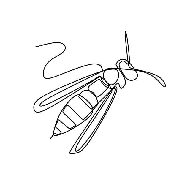 640x640 bee one line art drawing vector, bee, one, line png and vector - Bee Drawing Images