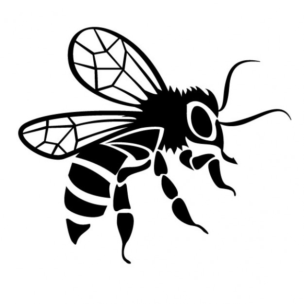 626x626 black bee drawing vector image vector free download - Bee Drawing Images