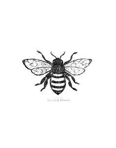 Bee Drawing Images at PaintingValley.com | Explore collection of Bee ...