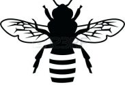 183x125 Coloring Pages Online Halloween Witch Disney Honey Bee Line - Bee Line Drawing