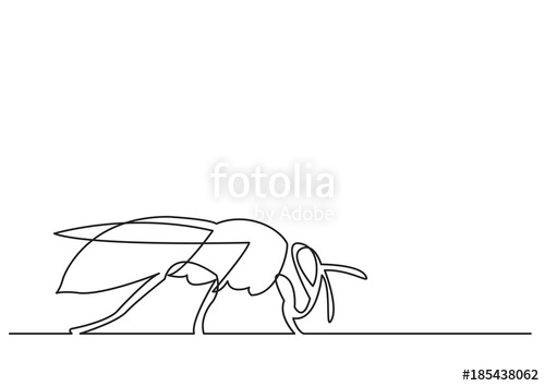 500x354 Continuous Line Drawing Of Isolated Vector Object - Bee Line Drawing