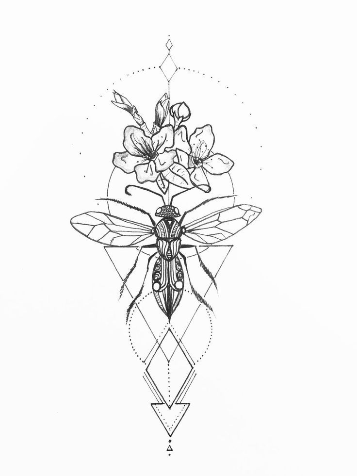 Bee On Flower Drawing