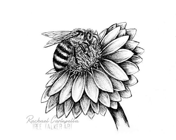 Bees And Flowers Drawing / 13 330 Bee Drawings Illustrations Clip Art