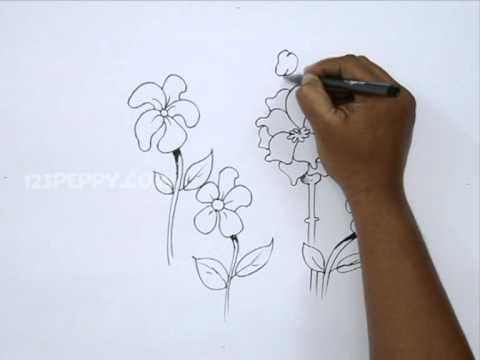 480x360 How To Draw Bee Flower - Bee On Flower Drawing