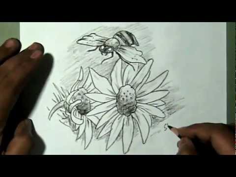 480x360 how to draw flower and bee yzarts yzarts - Bee On Flower Drawing