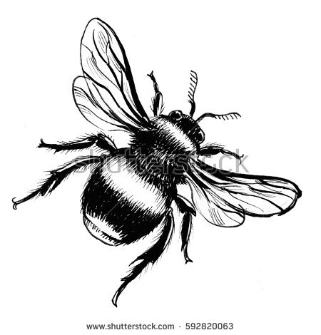 450x470 Drawn Bee Simple - Bee Simple Drawing