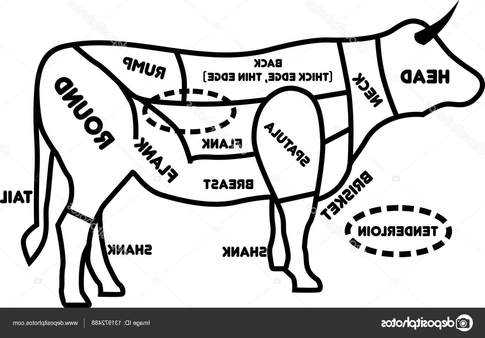 Beef Drawing at Explore collection of Beef Drawing