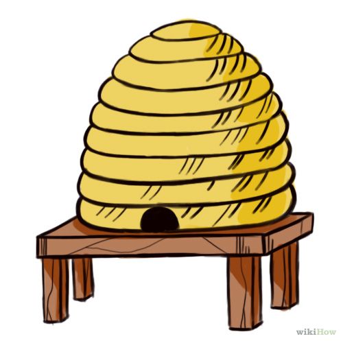 500x500 how to draw a beehive steps - Beehive Drawing