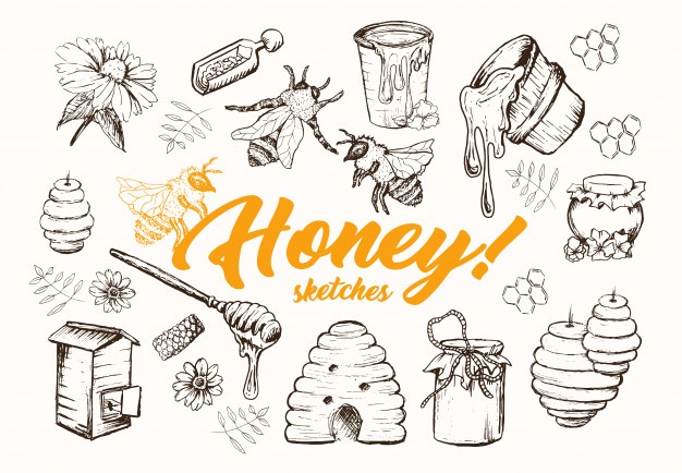626x434 bee vectors, photos and free download - Beehive Drawing