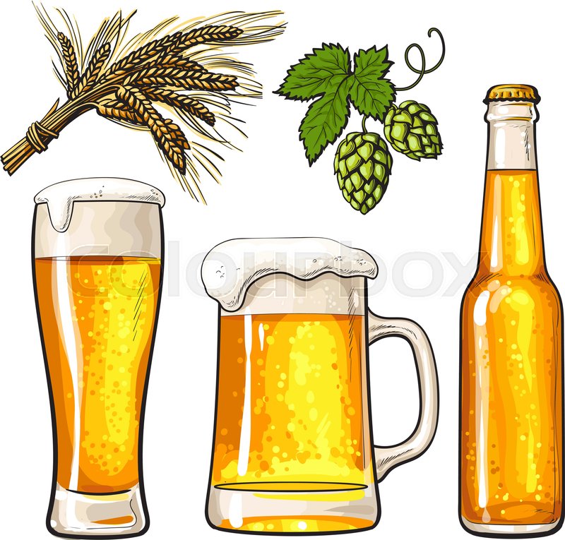 800x765 set of cold beer bottle, mug and stock vector colourbox - Beer Bottle Drawing