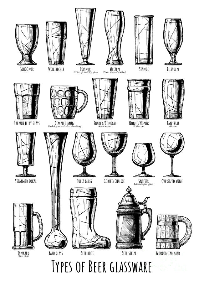 636x900 Types Of Beer Glassware Drawing - Beer Drawing