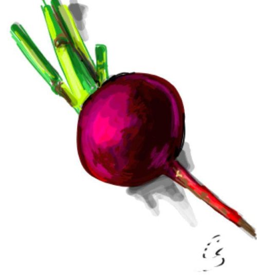 500x535 Beet Drawings - Beet Drawing