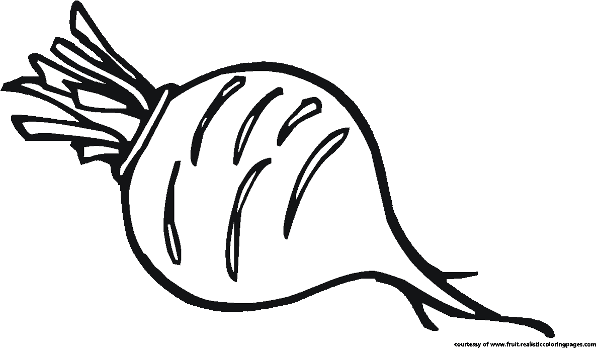 1185x692 Download Png Download Beet Drawing Black And White - Beet Drawing