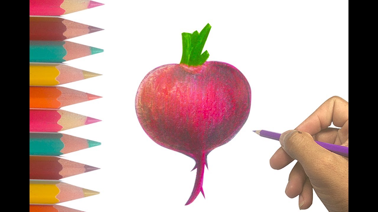 1280x720 How To Draw A Beetroot Easy Step - Beet Drawing