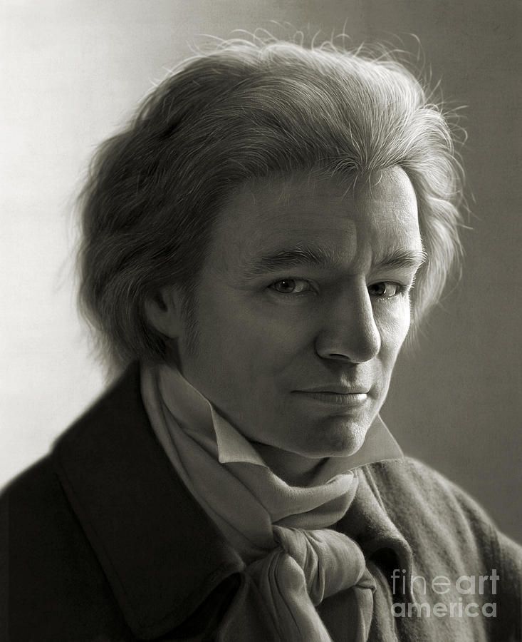 733x900 Ludwig Van Beethoven Canvas Print Canvas Art - Beethoven Drawing