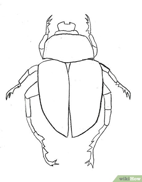 460x589 How To Draw A Scarab Beetle Steps - Beetle Drawing