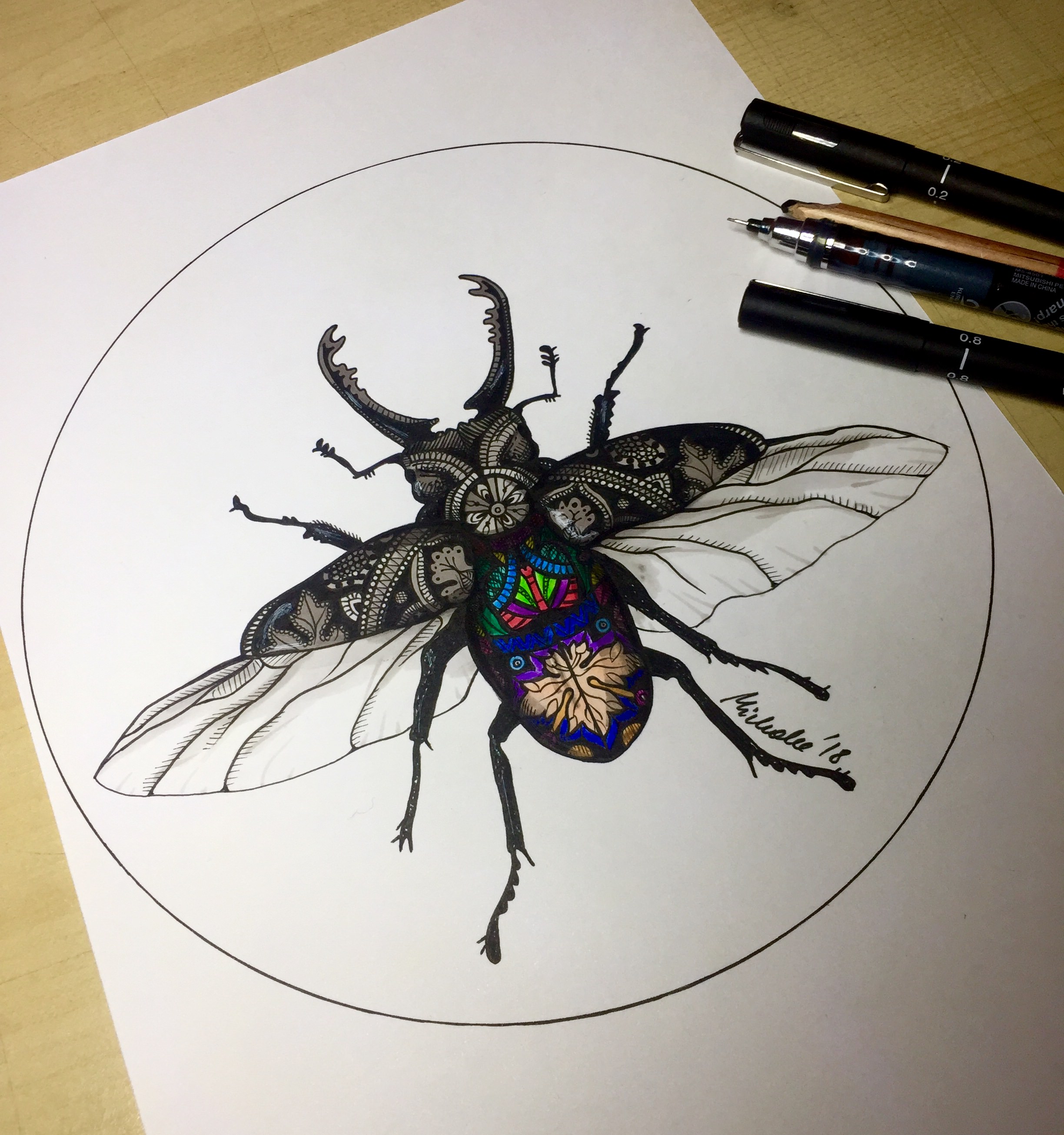 2448x2610 Stag Beetle Drawing - Beetle Drawing