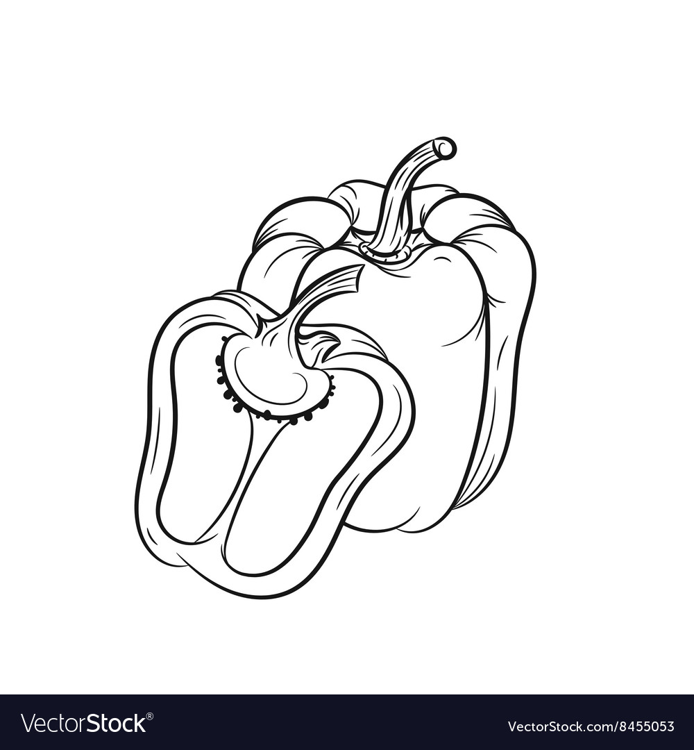 1000x1080 Drawn Vegetable Bell Pepper - Bell Pepper Drawing