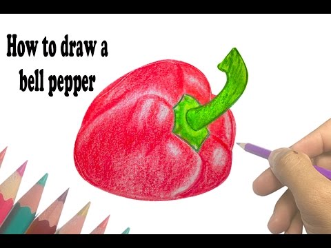 480x360 How To Draw A Bell Pepper - Bell Pepper Drawing