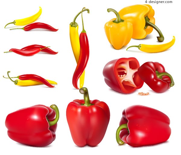 600x514 designer vector material of realistic drawing bell pepper - Bell Pepper Drawing