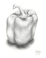 160x200 Still Life - Bell Pepper Drawing