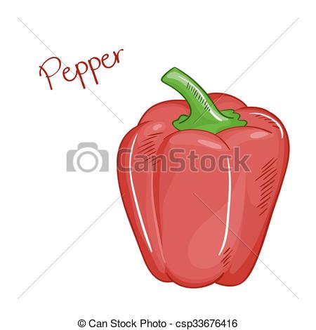 450x470 Vector Isolated Cartoon Fresh Hand Drawn Red Bell Pepper Vector - Bell Pepper Drawing
