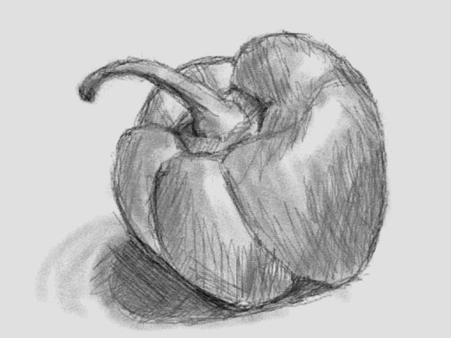 Bell Pepper Drawing at PaintingValley.com | Explore collection of Bell