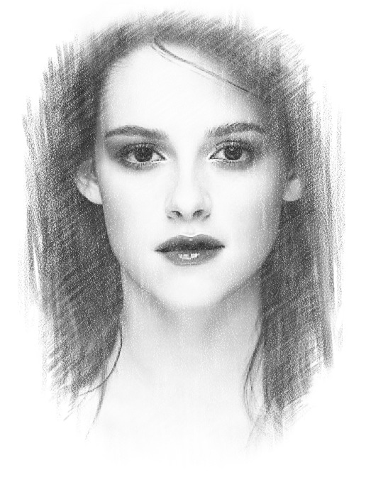 523x700 pencil drawing of''bella''by p scott - Bella Drawing
