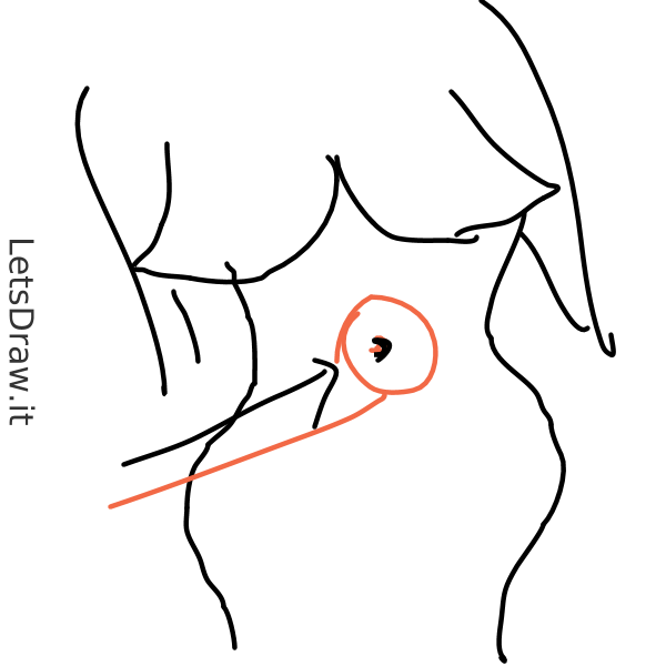 600x600 belly button - Belly Button Drawing