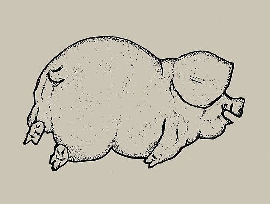 550x415 happy pig lying on belly, outline drawing posters - Belly Drawing