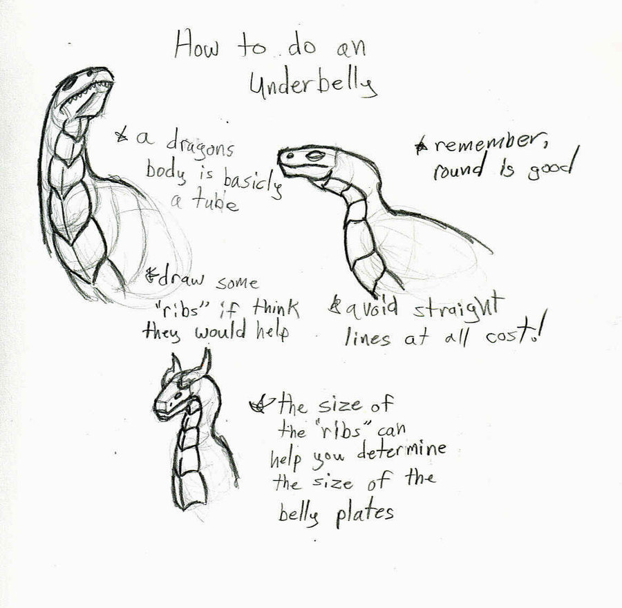 900x880 drawing scales belly for free download - Belly Drawing