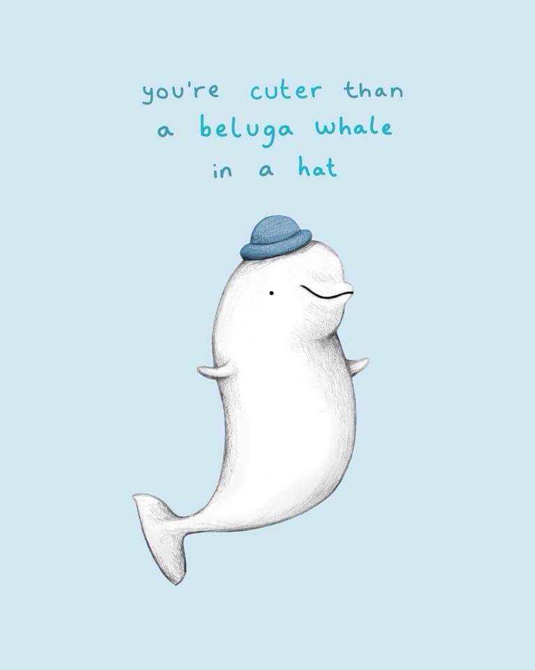 766x960 cute beluga awesome stuff whale, cute whales, whale illustration - Beluga Whale Drawing
