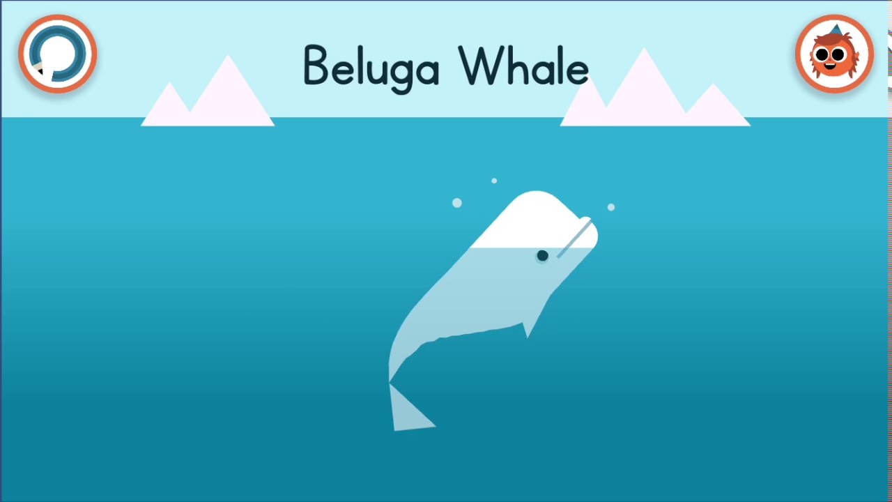 1280x720 how to draw a beluga whale artie's world - Beluga Whale Drawing