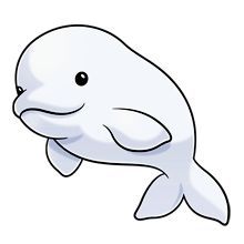 220x220 cute beluga beautiful designs whale drawing, cute cartoon - Beluga Whale Drawing