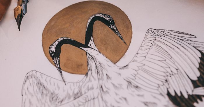 700x368 I've Been Drawing Birds For Years, Here Are The Benefits I've - Benefits Of Drawing