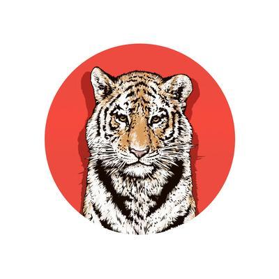 400x400 graphic color drawing of a bengal tiger wildlife big cat art - Bengal Tiger Drawing
