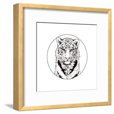 400x400 graphic drawing of a bengal tiger wildlife big cat art print - Bengal Tiger Drawing